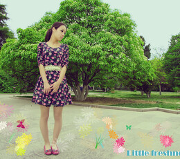 Little Freshness ぁ春天