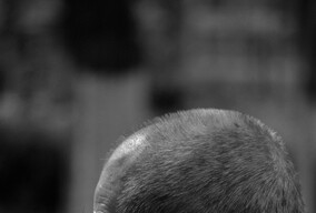 在单位碰见的退休工作者，顺便帮我给1P起个名字吧