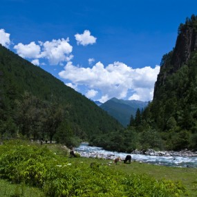 继续在318放飞梦想