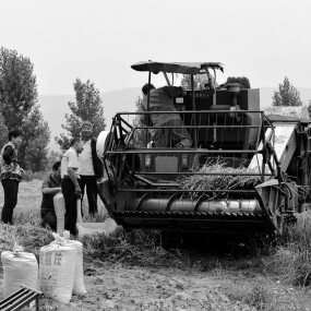 西部乡村影像（74）