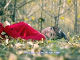 The moment of the leaves fall