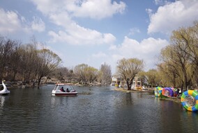 潍坊植物园早春