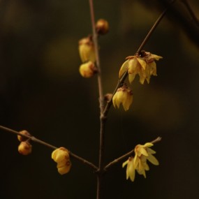 孤独让你如此美丽（二）