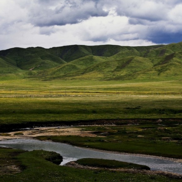 云上花开（十三）那片阳光