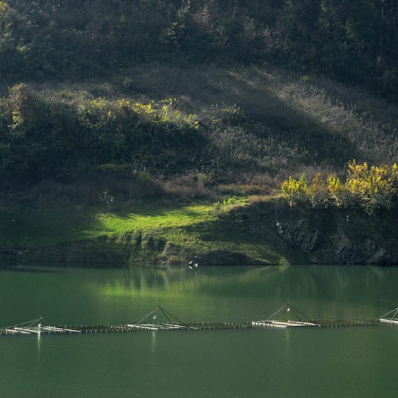 207省道边的风光----瀛湖秋色