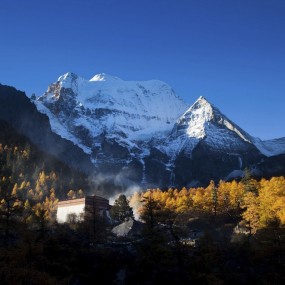 姜曦老师作品二