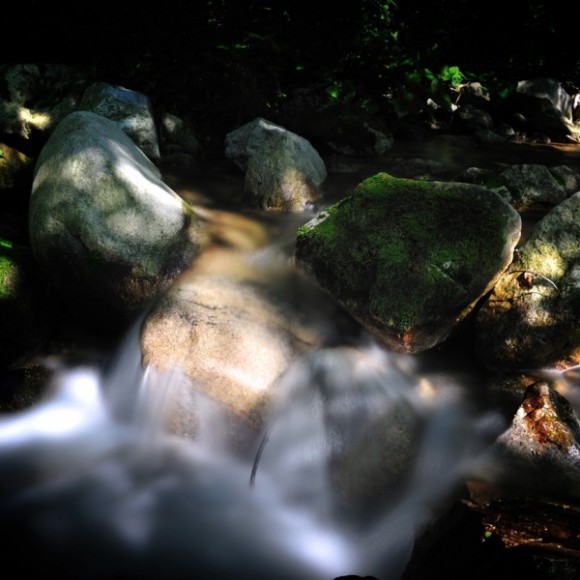 利美摄影 几张水片