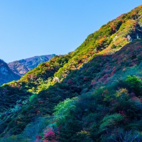 秦岭大峪甘花溪