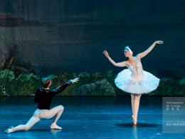 唯美《天鹅湖》