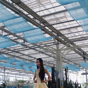 农博园温棚淑女图（活动作业）