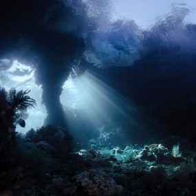 International Photography Awards [2]