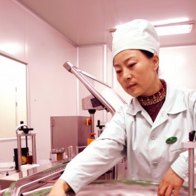制药女工