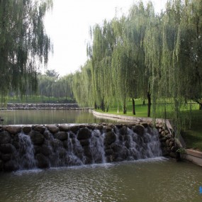 西安两处公园风景摄友不相信