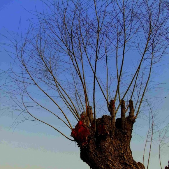 请大家各抒己见哈