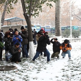 2011年1月2日小雁塔活动花絮