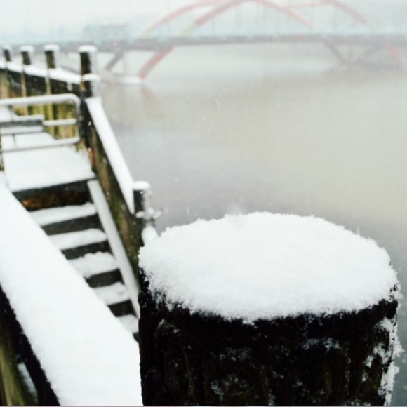 雪中随拍（菜鸟级别）