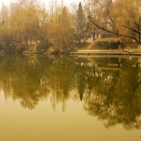 阴天的兴庆公园