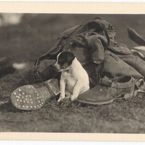 上世纪中期人们与宠物的照片