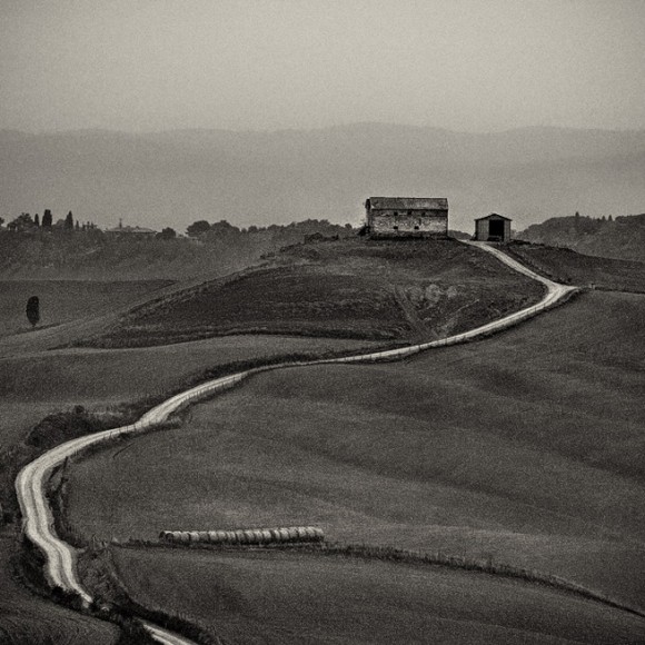 Black white landscape (7)