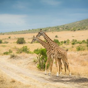 再望非洲-13年东非心灵旅行