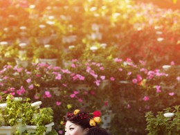 末日后，重生的我们，成就了两世情缘，异地恋牵手成功啦！