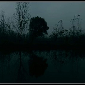 鱼塘随拍几张，简单制做，求指导！