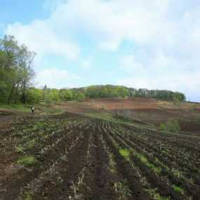 家乡的黑土地，如诗如画