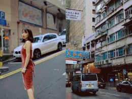 昨日红花今又开 似是故人来