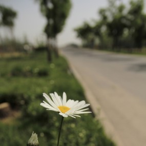 世园免费了我就是要在里面胡拍！！！（原片）