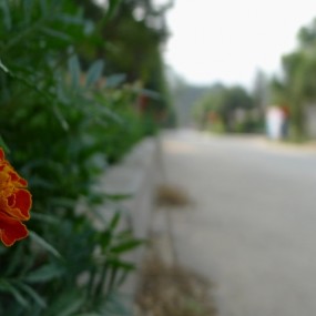 ——无序的感受——