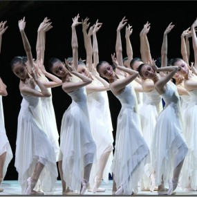 【原创】游园惊梦·大型芭蕾舞剧《牡丹亭》剧照 [80p]