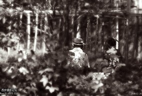 ~人间缘何聚散~~莫作昙花一现~~~~~~~