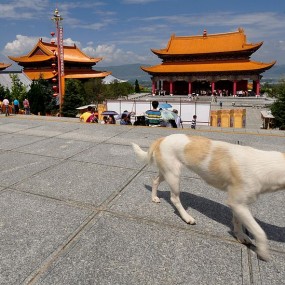 旅游照片（三）大理崇圣寺