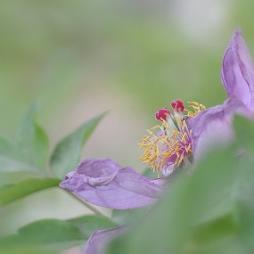 ——“虽败”且不失王者风范——