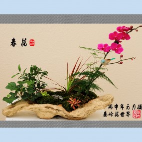 盆景花卉（仿中国画）-2016