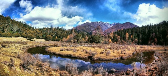 《山野在呼唤》