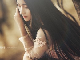 我想起了后院的犁花树，今年盛开的一如往昔