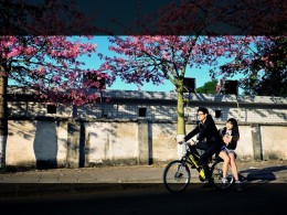 紫荆花之恋---《转角爱》下