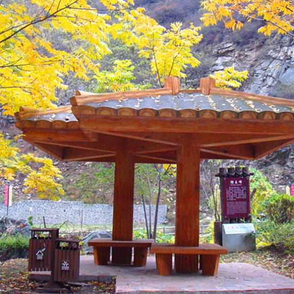 【金旅会】少华山赏美景