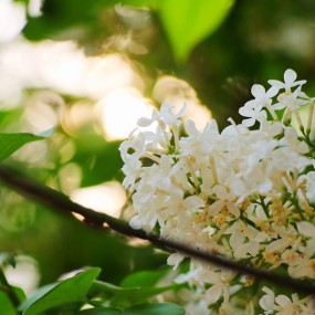 新手报道 凑个热闹 也算试机片 请各位前辈指导