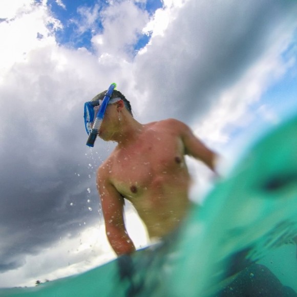 一半是海水一半是火焰