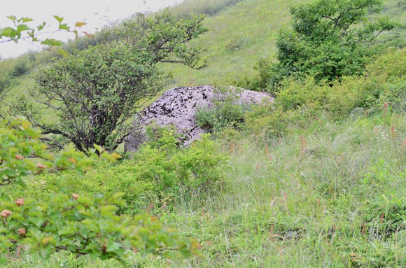 秦岭山脉长安、柞水交汇处——草甸子景色。万像更新