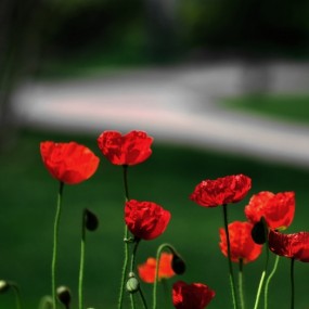 面具老师的作品------