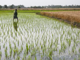 田间地头家里边