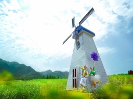 风车里的浪漫