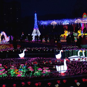 【随拍】 流光溢彩，迎春灯光会