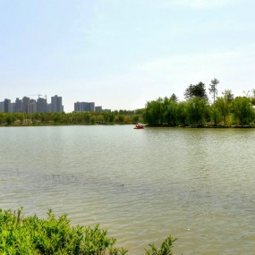 大明宫遗址公园随拍