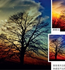 如何让秋天的树更精彩