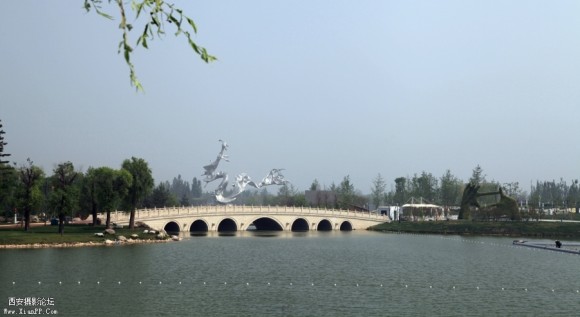 世博园摄影比赛《腾飞》