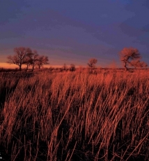 创造风光 而不是复制美丽